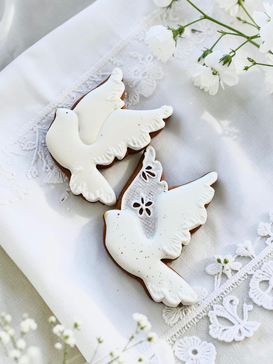 Photoroom_20260421_090427 (1).jpeg