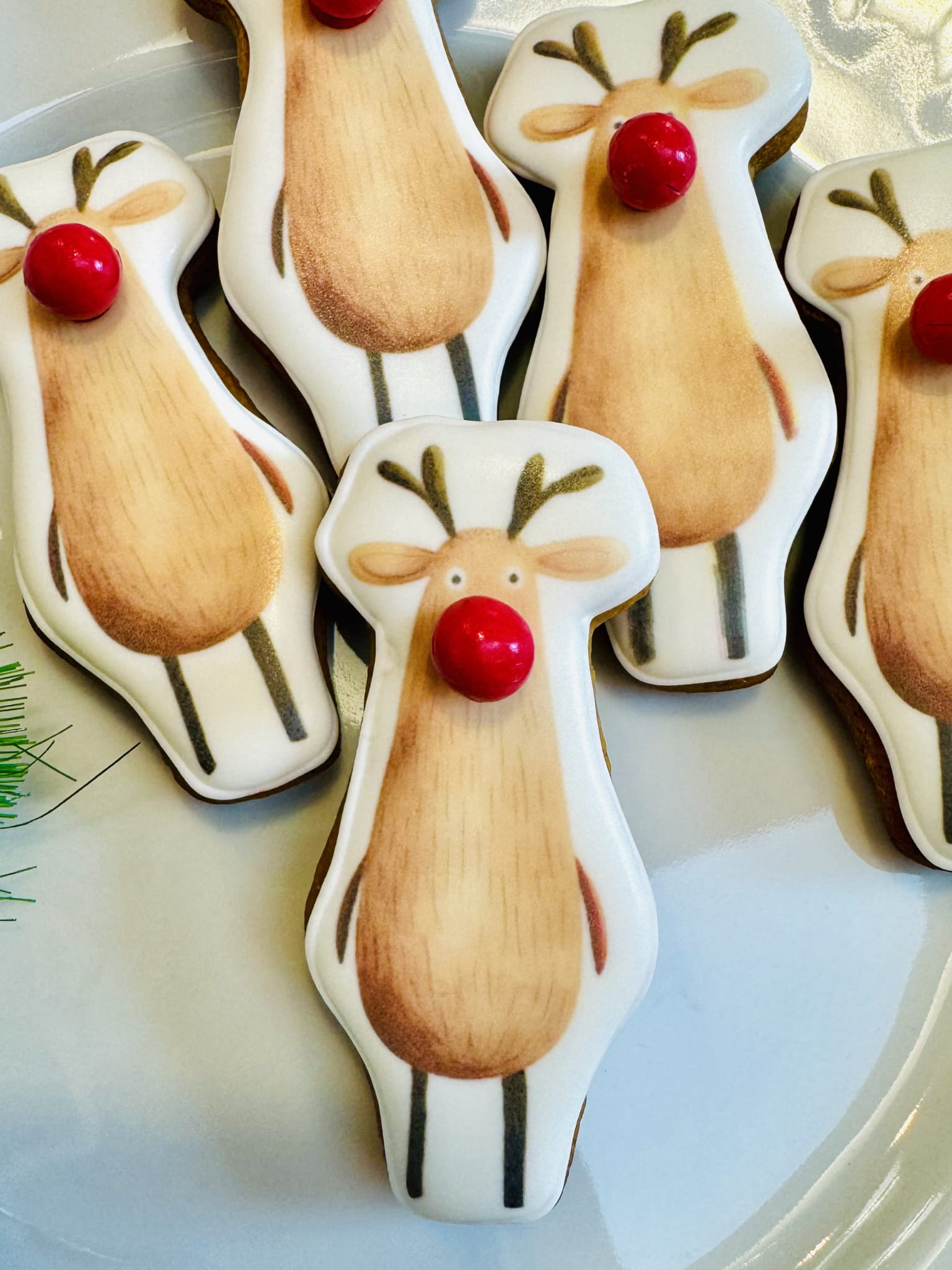 Renifer z nochalem piernikowe ciastko